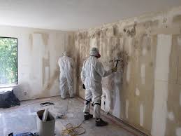 Best Biohazard Mold Removal  in Gower, MO